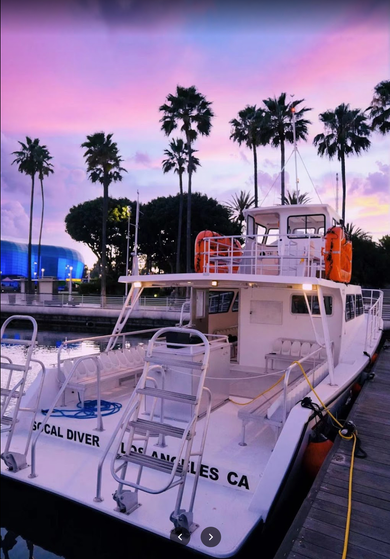 SoCal Diver Dive Boat out of San Pedro California- Dive Charter - Reserve your tickets for Catalina Dive Trip