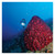 Underwater Kinetics SL3 eLED (L2) Dive Light (52221X)