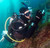 Blue Caverns Catalina Island - Shipwreck diving the Midnight hour off the coast of Catalina California