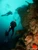 Blue Caverns Catalina Island - Shipwreck diving the Midnight hour off the coast of Catalina California