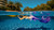 Discover Mermaid Diving - PADI's Top Rated Free Diving Course at LA's Scuba Diving Center