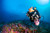 GoPro Hero 13 Black Action Camera (GP-CHDHX-131-TH) No Sales Tax & FREE Shipping - On sale at Los Angeles dive center