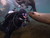 Spectre dive Boat to Anacapa Island & Santa Cruz Island
