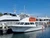 SoCal Diver Dive Boat out of San Pedro California- Dive Charter - Reserve your tickets for Catalina Dive Trip