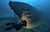 Introductory Pool Dive - All Inclusive 2hr Course with KISS CCR