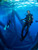 Oil Rig Dives California Oil rig dives California aboard la county's best scuba diving charter - boat diving at its best with the Pacific star dive boat. Real adventure, real dive boat, good fun things to do in life 