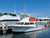 SoCal Diver Dive Boat out of San Pedro California- Dive Charter - Reserve your tickets for Catalina Dive Trip