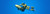 April Specialty Weekend Diver Propulsion Vehicle DPV Diver 