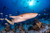 Dive with sharks