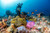 Maldives Diving with Beautiful Reefs