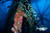 Oil Rig Dives California Oil rig dives California aboard la county's best scuba diving charter
