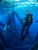 Oil Rig Dives California Oil rig dives California aboard la county's best scuba diving charter - boat diving at its best with the Pacific star dive boat. Real adventure, real dive boat, good fun things to do in life 