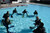 Discover Scuba Program at Los Angeles Scuba Diving Facility