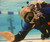PADI Pool Discovery Dive