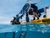 PADI or SDI Advanced Adventure Diver Open Water Diver certification in Los Angeles, California - SDI or PADI