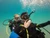 PADI or SDI Rescue Diver Certification Course in Los Angeles Southern California Dive PADI locator