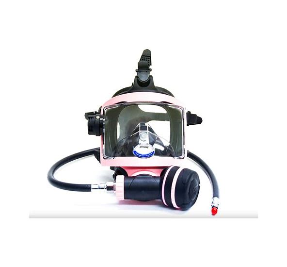 Ocean Technologies Systems Guardian Full Face Mask