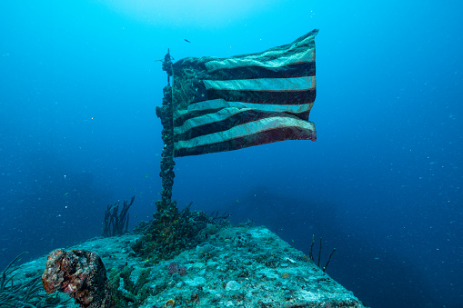 Eco Dive Center: Proud to Be Military & Veteran Friendly