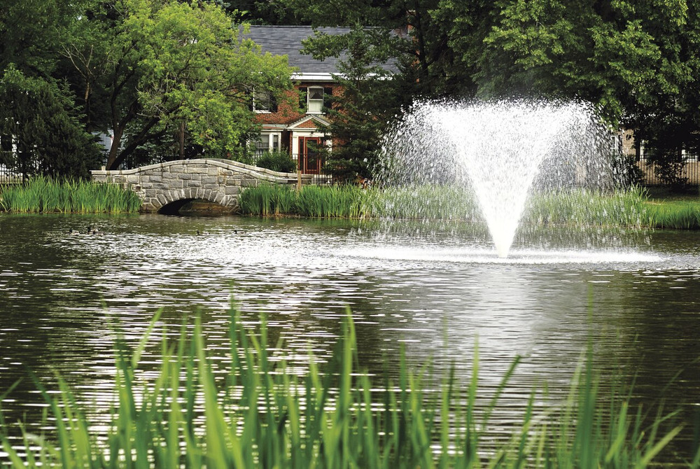 Otterbine 2 HP Pond Fountain - Pond Aerator