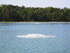 Aquarian Quantum 10 HP Surface Aerator