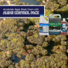 Effective algaecide safe for fish Effective algaecide safe for fish