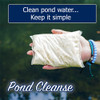 Pond maintenance treatments