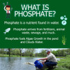 What does phosphate do?