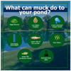 What is the best muck Reducer for ponds?