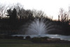 Otterbine Aerating Fountain 2 HP