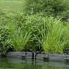 Detailed image featuring a vibrant floating wetland island planted with diverse native wetland species, demonstrating the island’s role in nutrient reduction, water purification, and wildlife attraction.
