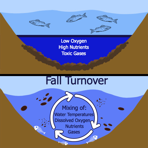 FallPondTurnoverAndSeasonalWaterQualityChanges