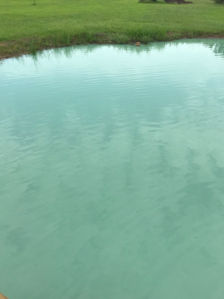 Causes of Cloudy Pond Water How to Clear Pond Water