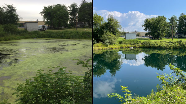 Best Pond Treatment Products Pond Product Reviews by Customers