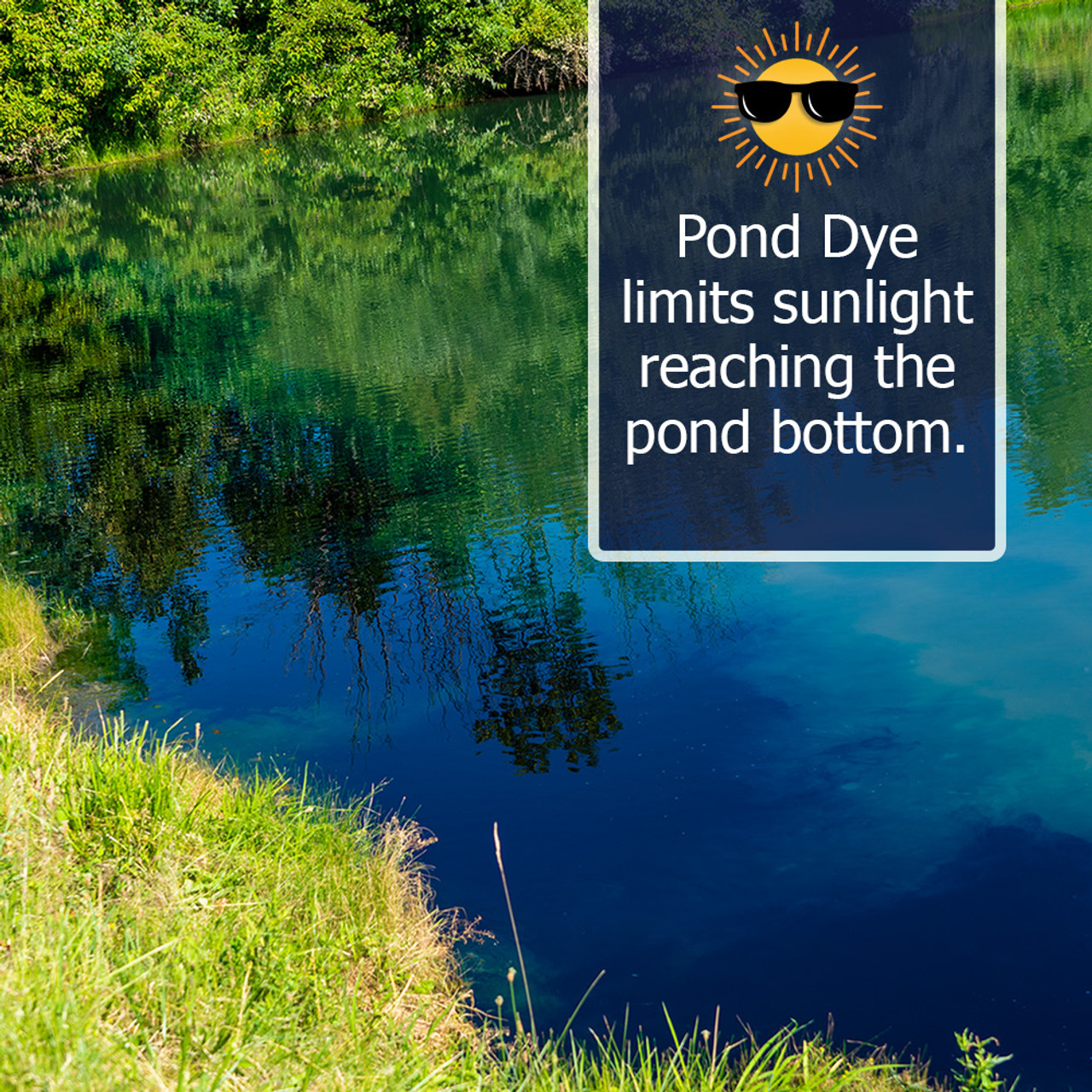 Pond dye, black pond dye, most concentrated black dye, best black pond dye