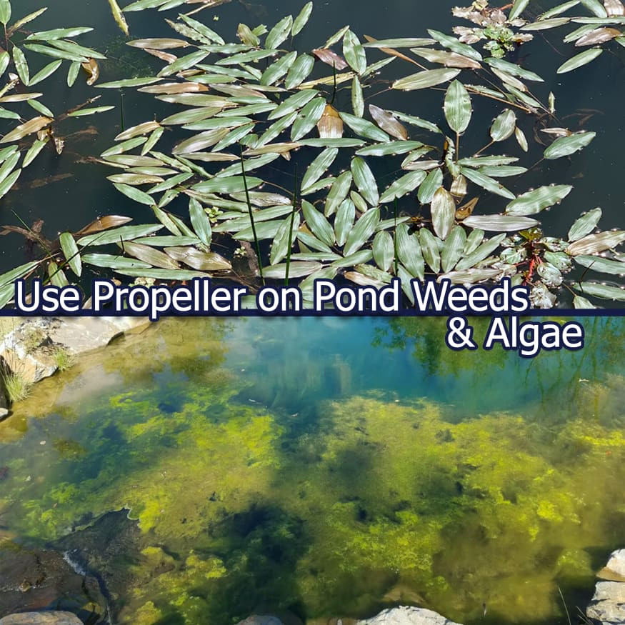 Propeller 5 lb Aquatic Herbicide