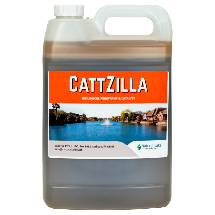CattZilla-front-edited_copy-