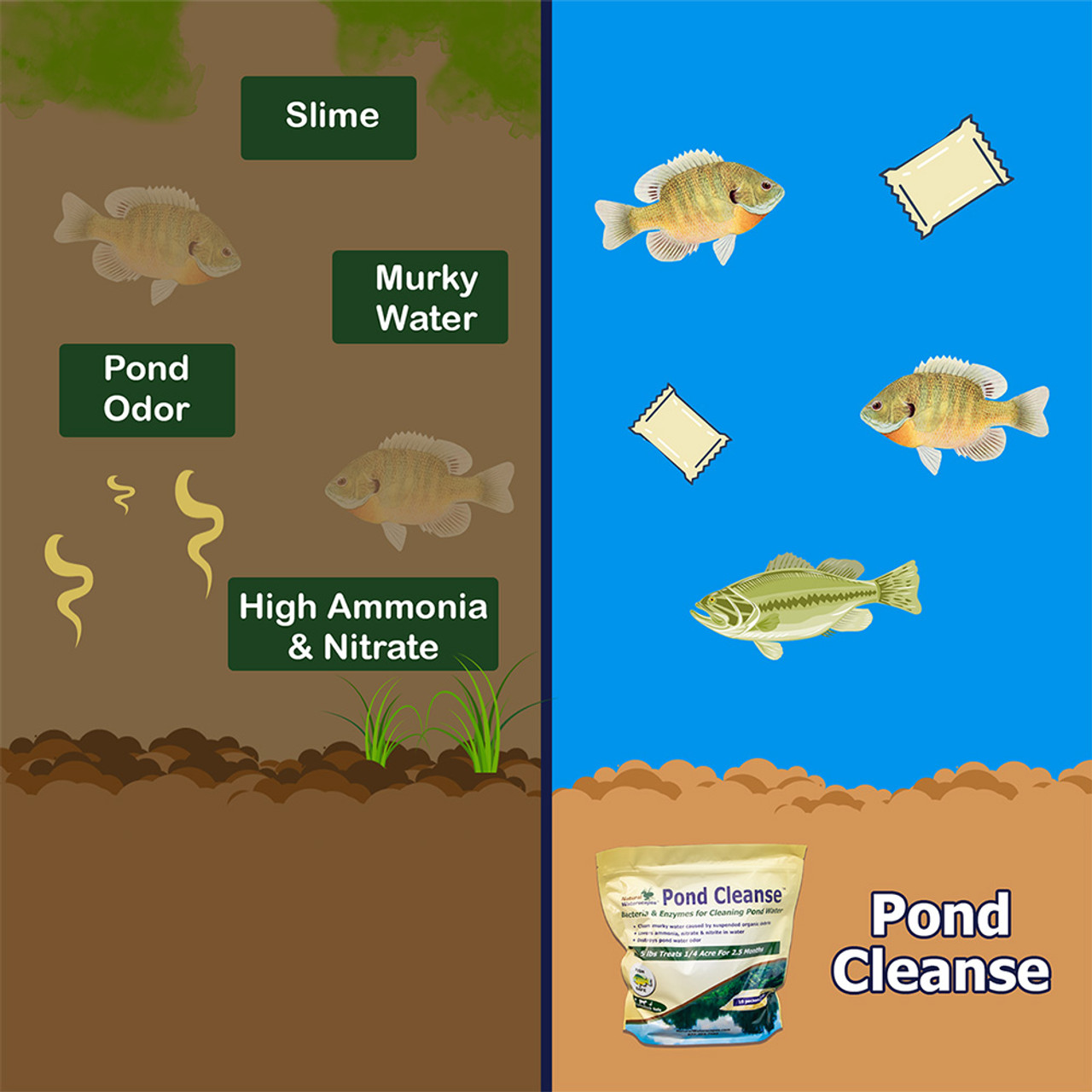 Pond Cleanse Bacteria Packets 50 lbs