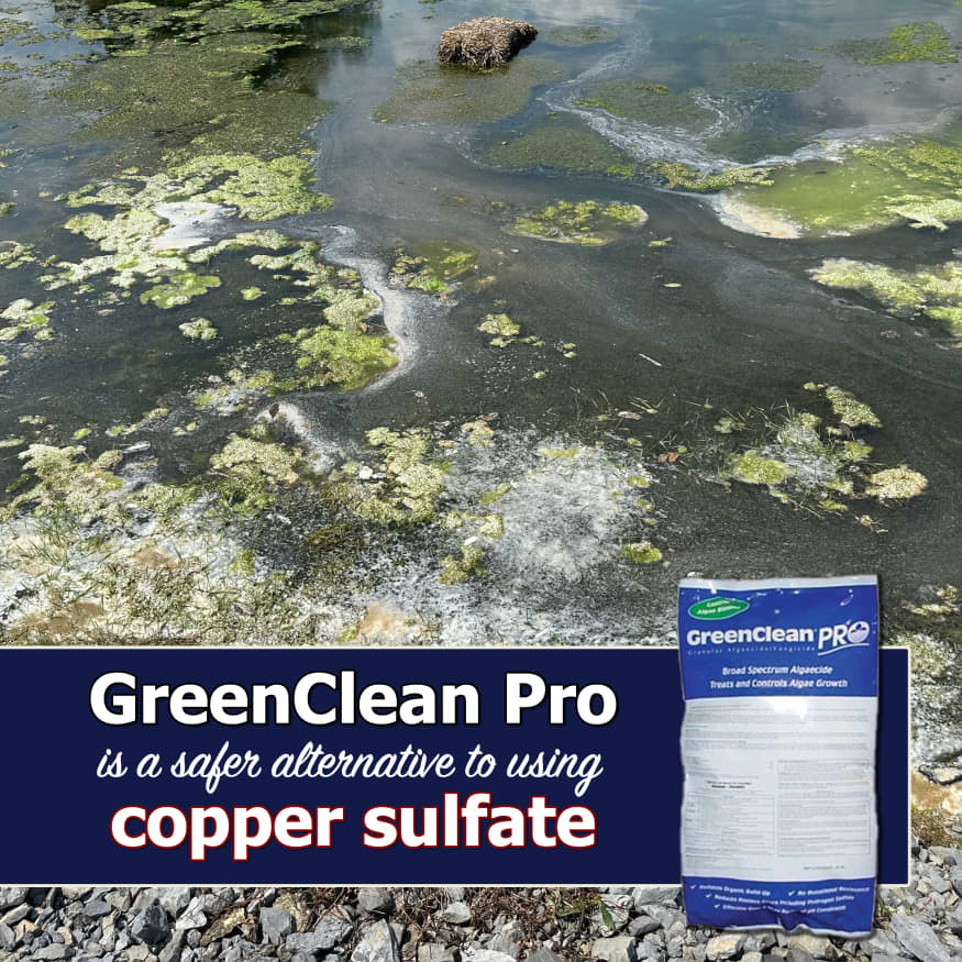 GreenClean Pro Granular Algaecide