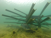 Root Wad Kit by Mossback