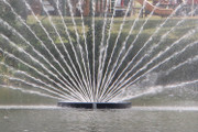 Otterbine Aries Giant Fountain