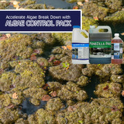 Effective algaecide safe for fish Effective algaecide safe for fish