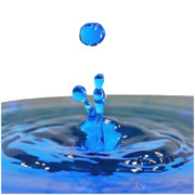 Blue Dye Packets