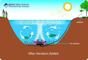 PondLyfe 3 Aeration System by VERTEX