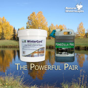 WinterGard Cold Water Bacteria 10 lb WinterGard Cold Water Bacteria 10 lb