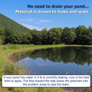 polymer sealer for dam - apply through the water