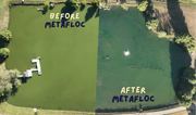 Before-After-Metafloc