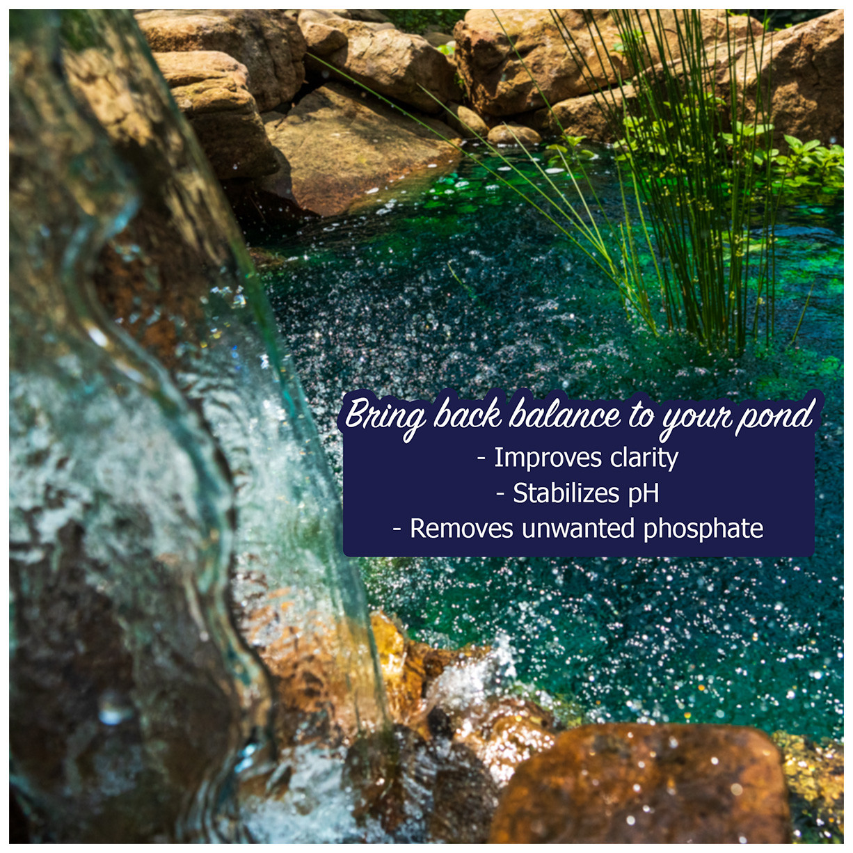 Pond Renu Koi Pond Shock Treatment