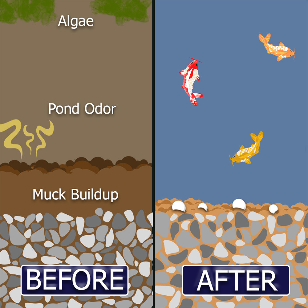 Muck Remover GP Koi Pond Cleaning Pellets