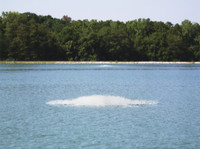 Aquarian Quantum 5 HP Surface Aerator