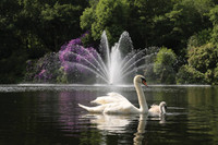 Otterbine Equinox Aerating Fountain